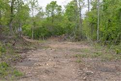 property photo for Sleepy Hollow Phase II Tract 107, 6.52 acres for sale in Texas County, Missouri