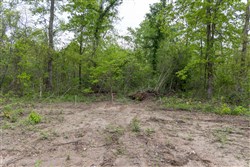 property photo for Sleepy Hollow Phase II Tract 107, 6.52 acres for sale in Texas County, Missouri