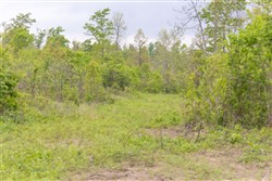 property photo for Sleepy Hollow Phase II Tract 107, 6.52 acres for sale in Texas County, Missouri