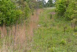 property photo for Sleepy Hollow Phase II Tract 107, 6.52 acres for sale in Texas County, Missouri