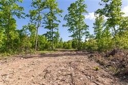 property photo for Sleepy Hollow Phase II Tract 63, 14.24 acres for sale in Texas County, Missouri