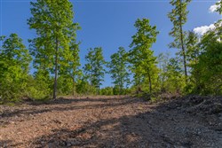 property photo for Sleepy Hollow Phase II Tract 63, 14.24 acres for sale in Texas County, Missouri