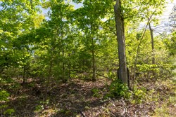 property photo for Sleepy Hollow Phase II Tract 63, 14.24 acres for sale in Texas County, Missouri