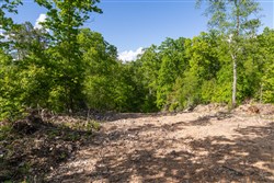 property photo for Sleepy Hollow Phase II Tract 63, 14.24 acres for sale in Texas County, Missouri