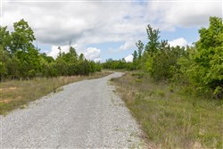 property photo for Sleepy Hollow Phase II Tract 86, 6.27 acres for sale in Texas County, Missouri