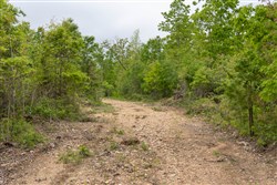 property photo for Sleepy Hollow Phase II Tract 92, 7.84 acres for sale in Texas County, Missouri
