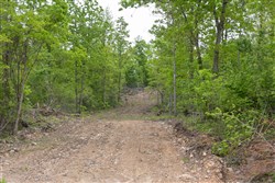 property photo for Sleepy Hollow Phase II Tract 92, 7.84 acres for sale in Texas County, Missouri
