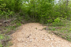 property photo for Sleepy Hollow Phase II Tract 92, 7.84 acres for sale in Texas County, Missouri