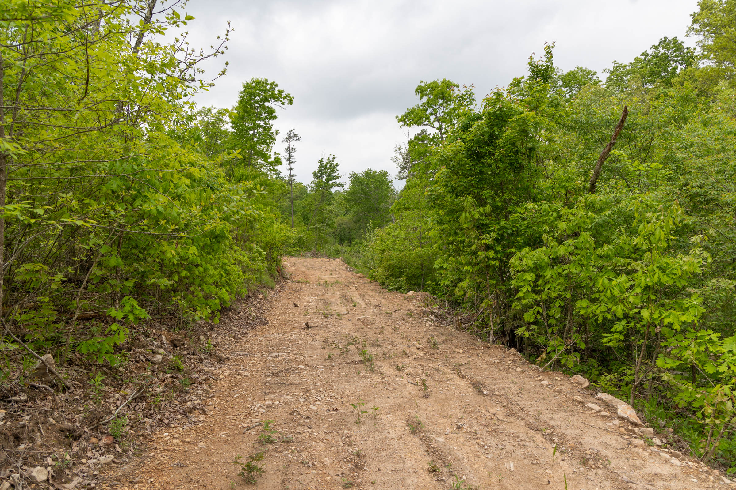Tract 99 at Sleepy Hollow Phase II in Texas County, Missouri