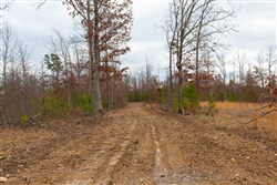 property photo for Windy Ridge Tract 10, 7.27 acres for sale in Texas County, Missouri