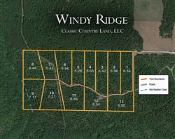 tract layout map for Windy Ridge Tract 10, 7.27 acres for sale in Texas County, Missouri